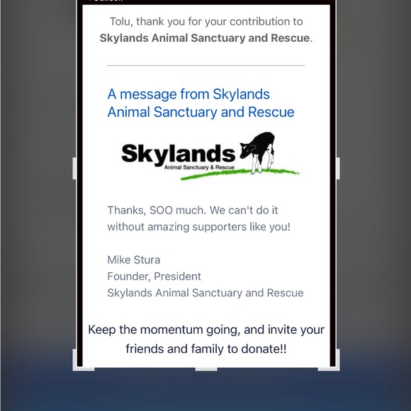 Meet your Posher, Tolú! - Picture 6 of 9